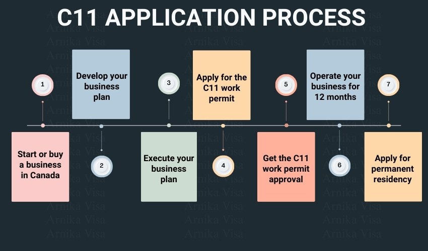 C11 work permit application process